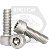 M6-1.00x55 MM,(FT) SOCKET HEAD CAP SCREWS STAINLESS A2 18-8